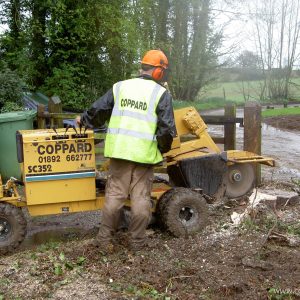 Stump Grinder – Vermeer SC372 + Sharps